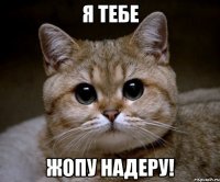 я тебе жопу надеру!