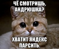 чё смотришь, андрюшка? хватит яндекс парсить.