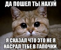 да пошел ты нахуй я сказал что это не я насрал тебе в тапочки.