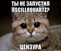 ты не запустил oscilloquartz? *цензура*