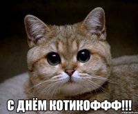  с днём котикоффф!!!