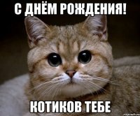 с днём рождения! котиков тебе