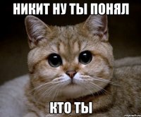 никит ну ты понял кто ты