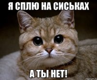 я сплю на сиськах а ты нет!