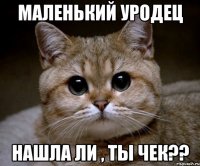 маленький уродец нашла ли , ты чек??