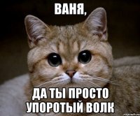 ваня, да ты просто упоротый волк