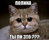 полина .. ты ли это ???