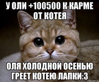 у оли +100500 к карме от котея оля холодной осенью греет котею лапки:3