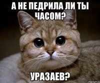 а не педрила ли ты часом? уразаев?