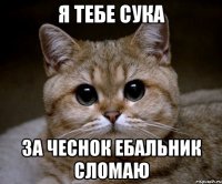 я тебе сука за чеснок ебальник сломаю