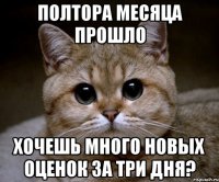 полтора месяца прошло хочешь много новых оценок за три дня?