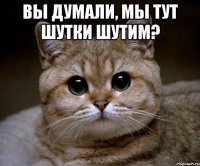 вы думали, мы тут шутки шутим? 