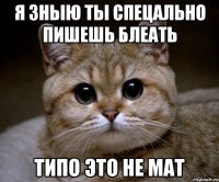 я зныю ты спецально пишешь блеать типо это не мат