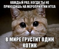 каждый раз, когда ты не приходишь на мероприятии нтса в мире грустит один котик