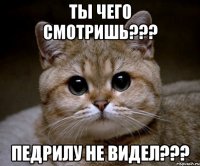 ты чего смотришь??? педрилу не видел???