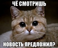 чё смотришь новость предложил?