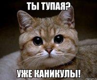 ты тупая? уже каникулы!