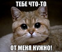 тебе что-то от меня нужно!