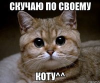 скучаю по своему коту^^