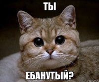 ты ебанутый?