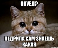 охуел? педрила сам знаешь какая