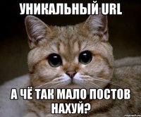 уникальный url а чё так мало постов нахуй?