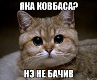 яка ковбаса? нэ не бачив