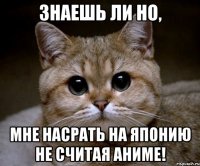 знаешь ли но, мне насрать на японию не считая аниме!