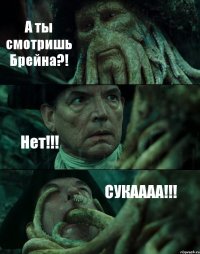 А ты смотришь Брейна?! Нет!!! СУКАААА!!!