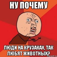 ну почему люди на крузаках, так любят животных?