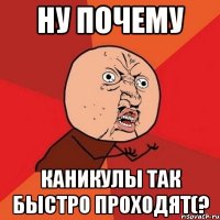 ну почему каникулы так быстро проходят(?