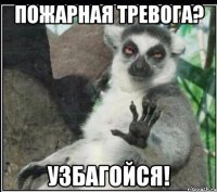 пожарная тревога? узбагойся!
