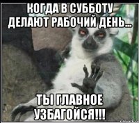 когда в субботу делают рабочий день... ты главное узбагойся!!!