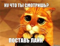 НУ ЧТО ТЫ СМОТРИШЬ? ПОСТАВЬ ЛАЙК 