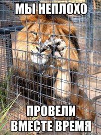 мы неплохо провели вместе время