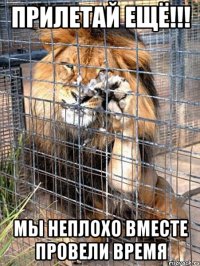 прилетай ещё!!! мы неплохо вместе провели время