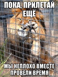 пока, прилетай ещё мы неплохо вместе провели время