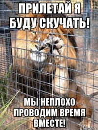 прилетай я буду скучать! мы неплохо проводим время вместе!