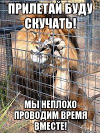 прилетай буду скучать! мы неплохо проводим время вместе!