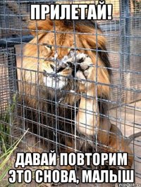 прилетай! давай повторим это снова, малыш