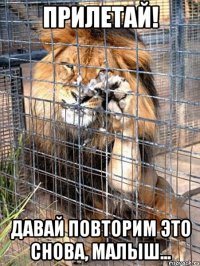 прилетай! давай повторим это снова, малыш...