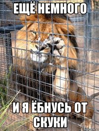 ещё немного и я ёбнусь от скуки