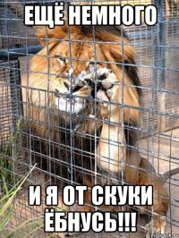 ещё немного и я от скуки ёбнусь!!!