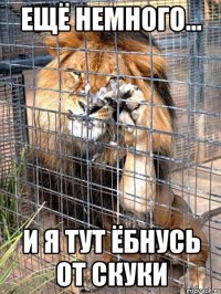 ещё немного... и я тут ёбнусь от скуки