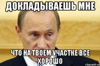 докладываешь мне что на твоем участке все хорошо