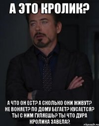 а это кролик? а что он ест? а сколько они живут? не воняет? по дому бегает? кусается? ты с ним гуляешь? ты что дура кролика завела?