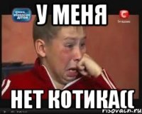 у меня нет котика((