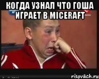 когда узнал что гоша играет в miceraft 