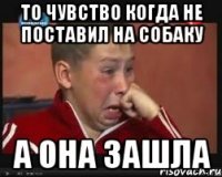 то чувство когда не поставил на собаку а она зашла