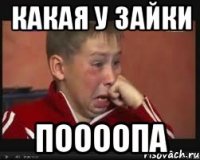 какая у зайки поооопа